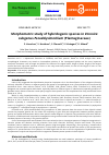 Научная статья на тему 'Morphometric study of hybridogenic species in veronicasubgenus pseudolysimachium (Plantaginaceae)'