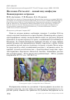 Научная статья на тему 'Московка Parus ater - новый вид авифауны Командорских островов'