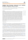 Научная статья на тему 'Multiple Drug Resistance Salmonella and Antibiotic Residues in Egyptian Animal Products'