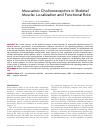 Научная статья на тему 'Muscarinic Cholinoreceptors in Skeletal Muscle: Localization and Functional Role'