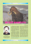 Научная статья на тему 'Музей мамонта'