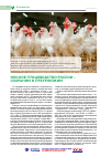 Научная статья на тему 'Мясное птицеводство России – сохраним и преумножим'