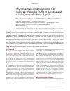 Научная статья на тему 'Mycoplasma contamination of cell cultures: vesicular traffic in bacteria and control over infectious agents'