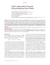 Научная статья на тему 'Nad+-dependent formate dehydrogenase from plants'