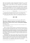 Научная статья на тему 'Находка гибрида кряквы Anas platyrhynchos и шилохвости Anas acuta на юге Западной Сибири'