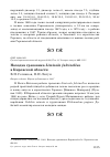 Научная статья на тему 'Находка грязовика Limicola falcinellus в Кировской области'