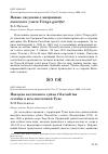 Научная статья на тему 'Находка восточного зуйка Charadrius veredus в юго-восточной Туве'