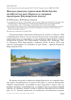 Научная статья на тему 'Находка выводка серпоклюва Ibidorhyncha struthersii на реке Каратал в северных предгорьях Джунгарского Алатау'