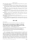 Научная статья на тему 'Нахождение вальдшнепа Scolopax rusticola в бассейне реки Кара-Кабы (Южный Алтай)'