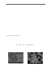 Научная статья на тему 'Near-nano and coarse-grain WC powders obtained by the SHS and cemented carbides on their basis'