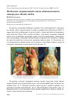 Научная статья на тему 'Необычно окрашенный самец обыкновенного зимородка Alcedo atthis'
