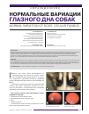 Научная статья на тему 'Нормальные вариации глазного дна собак'