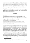 Научная статья на тему 'Новая находка синей птицы Myophonus caeruleus на реке Кульсай в Кунгей Алатау'