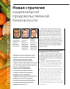 Научная статья на тему 'Новая стратегия национальной продовольственной безопасности'