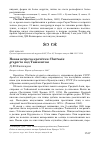 Научная статья на тему 'Новая встреча кречётки Chettusia gregaria под Ташкентом'