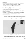 Научная статья на тему 'Новая встреча меченого чёрного грифа Aegypius monachus в Приморском крае'