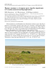 Научная статья на тему 'Новые данные о степном Орле Aquila nipalensis в Семипалатинском Прииртышье'