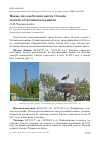 Научная статья на тему 'Новые гнезда белого аиста ciconia ciconia в Гатчинском районе'