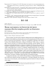 Научная статья на тему 'Новые материалы по биологии пёстрого пыжика Brachyramphus perdix на Камчатке'