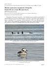 Научная статья на тему 'Новые находки морянки Clangula hyemalis на озере иссык-куль'