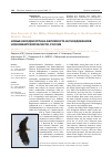 Научная статья на тему 'Новые находки орлана-белохвоста на гнездовании в Новосибирской области, Росси Я'