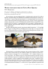 Научная статья на тему 'Новые находки сипухи Tyto alba в Крыму'