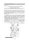 Научная статья на тему 'Новые памятники палеолита Восточного Казахстана'