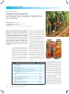 Научная статья на тему 'Новые технологии производства пищевых продуктов из томатов'