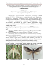 Научная статья на тему 'Новые виды древоточцев (Cossidae, Lepidoptera) в Мордовском государственном природном заповеднике'