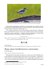 Научная статья на тему 'Новые виды птиц Витимского заповедника'