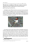 Научная статья на тему 'Новый вид в авифауне Москвы: первая встреча красноголового сорокопута Lanius senator'