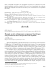 Научная статья на тему 'Новый залёт сибирских кедровок Nucifraga caryocatactes macrorhynchos на Кубань'