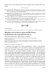 Научная статья на тему 'Ноябрьская встреча авдотки Burhinus oedicnemus на озере Иссык-Куль'