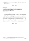 Научная статья на тему 'О дубоносе coccothraustes coccothraustes в Московской губернии'