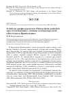 Научная статья на тему 'О гибели дрофы-красотки Chlamydotis undulata при столкновении с линией электропередачи в Восточном Прибалхашье'