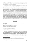 Научная статья на тему 'О гнездовании белого аиста ciconia ciconia в Дагестане'