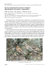 Научная статья на тему 'О гнездовании буланого вьюрка Rhodospiza obsoleta в Армении'