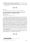 Научная статья на тему 'О ГНЕЗДОВАНИИ ВАЛЬДШНЕПА SCOLOPAX RUSTICOLA В ПОЙМЕ СРЕДНЕГО ТЕЧЕНИЯ РЕКИ ЧУ'