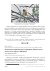 Научная статья на тему 'О находке горихвостки-чернушки Phoenicurus ochruros в городе Лабинске'