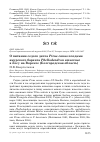 Научная статья на тему 'О питании седого дятла Picus canus плодами амурского бархата Phellodendron amurense в Лесу на Ворскле (Белгородская область)'