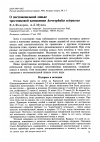 Научная статья на тему 'О постювенильной линьке тростниковой камышевки Acrocephalus scirpaceus'