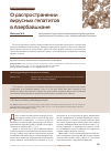 Научная статья на тему 'О распространении вирусных гепатитов в Азербайджане'