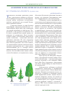 Научная статья на тему 'О развитии технологии лесозаготовок в России'