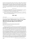 Научная статья на тему 'О РОЗОВОЙ ЧАЙКЕ RHODOSTETHIA ROSEA В КОЛЛЕКЦИИ КРАЕВЕДЧЕСКОГО МУЗЕЯ В ПОСЁЛКЕ ЕРБОГАЧЕН (КАТАНГСКИЙ РАЙОН ИРКУТСКОЙ ОБЛАСТИ)'