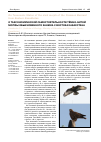 Научная статья на тему 'О таксономической самостоятельности темно-бурой морфы обыкновенного канюка (Buteo Buteo) с Востока Казахстана'
