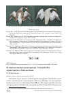 Научная статья на тему 'О тонкоклювом жаворонке Calandrella acutirostris в Казахстане'