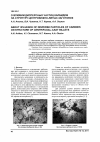 Научная статья на тему 'О влиянии дисперсных частиц карбидов на структуру центробежно-литых заготовок'