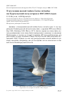 Научная статья на тему 'О вселении малой чайки Larus minutus на кургальский полуостров в 2017-2018 годах'