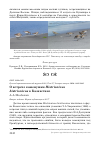 Научная статья на тему 'О встрече каменушки histrionicus histrionicus в Казахстане'