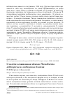 Научная статья на тему 'О залётах священных ибисов Threskiornis aethiopicus на побережье Каспия'